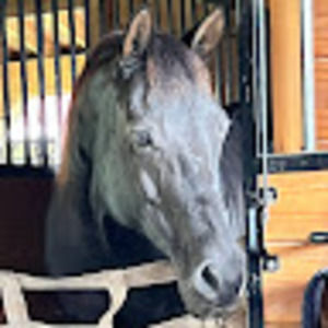 Meet your Posher, Irene